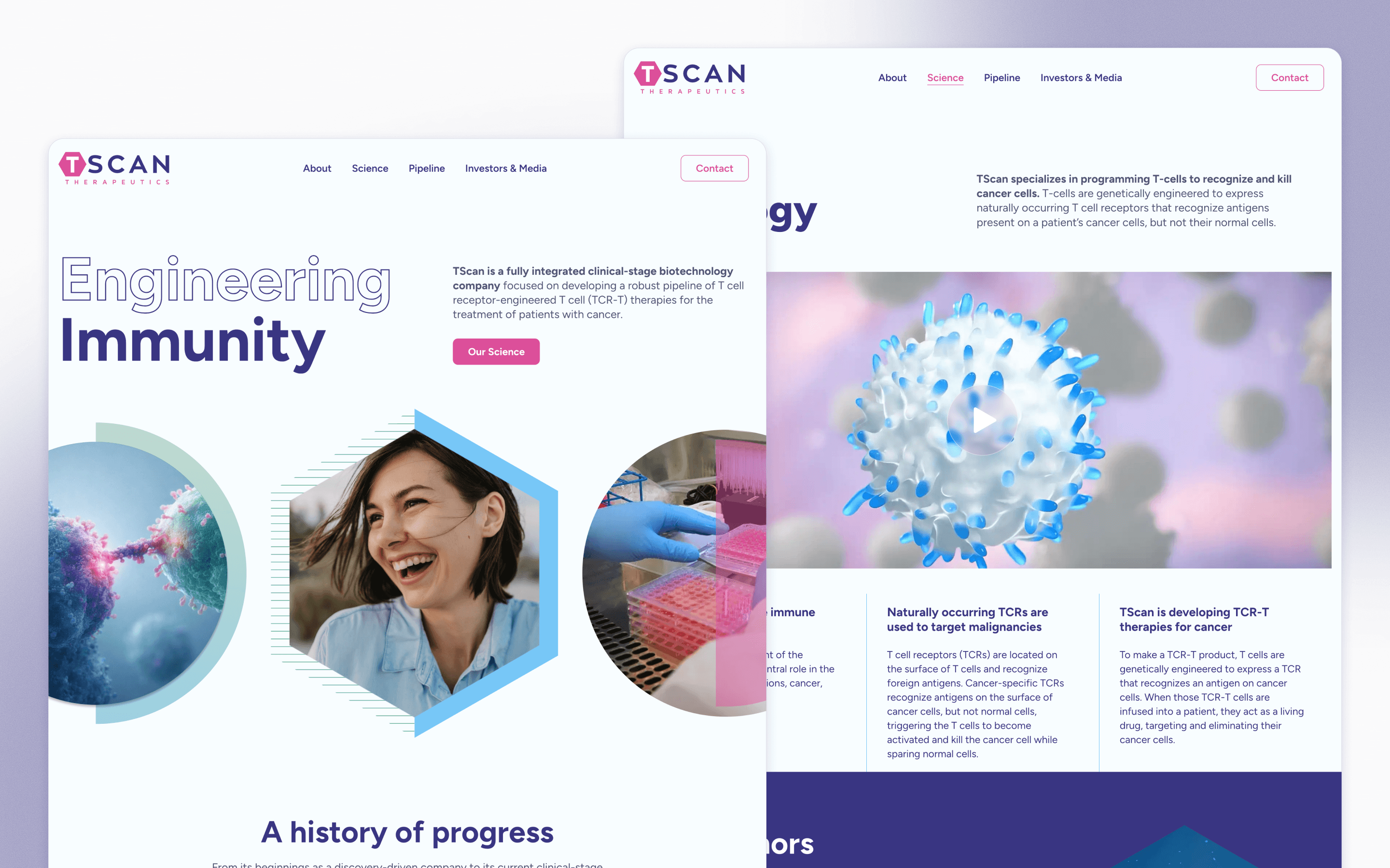 TScan Therapeutics Biotechnology Website Development by Ladybugz Interactive