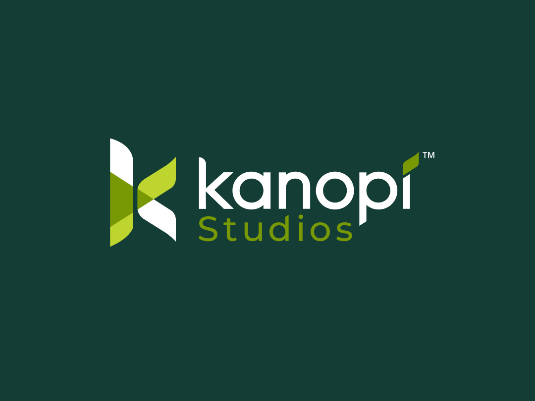 Kanopi Studios accessibility healthcare web design agency