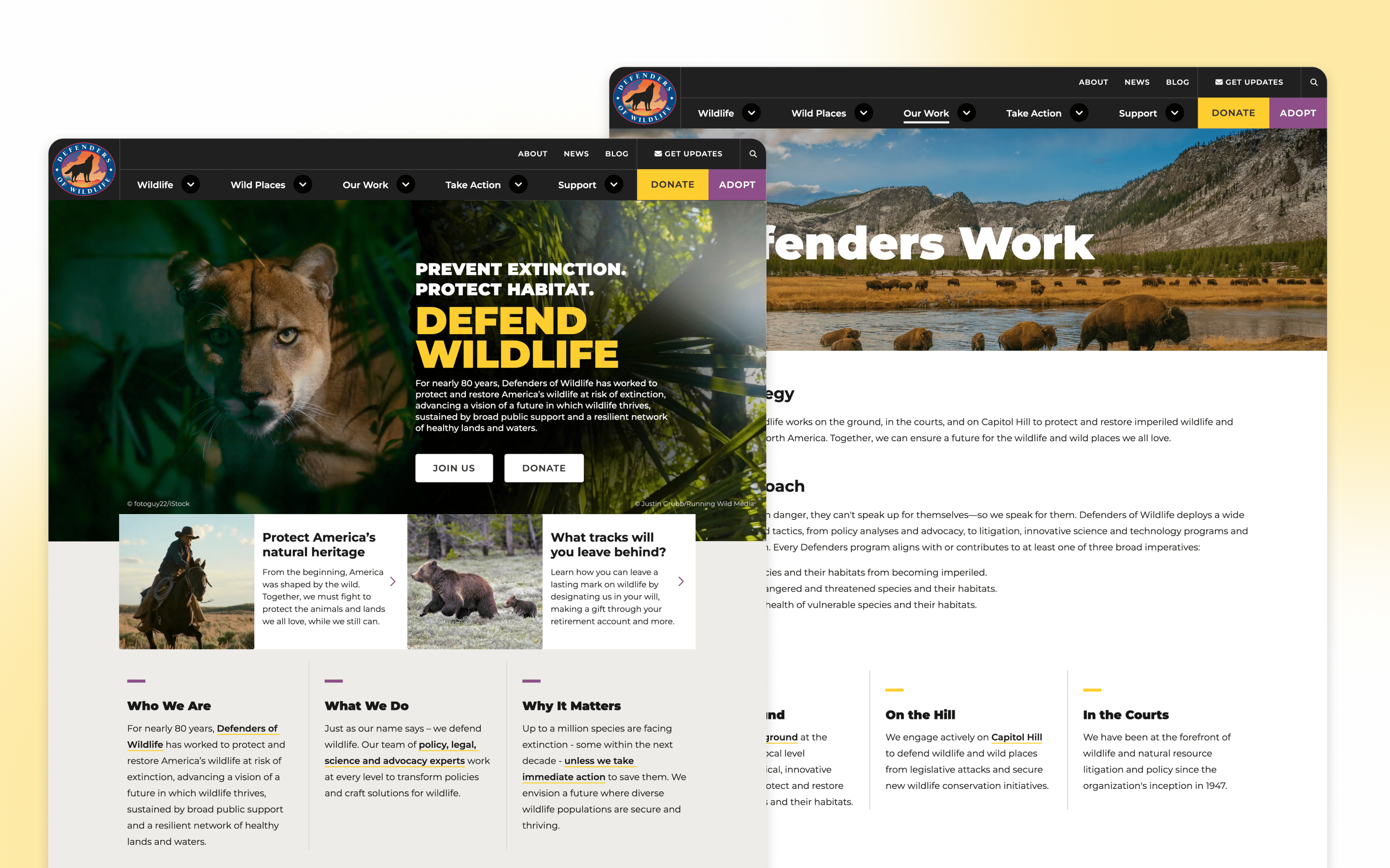 Defenders of Wildlife Nonprofit Website Design by RAD Campaign