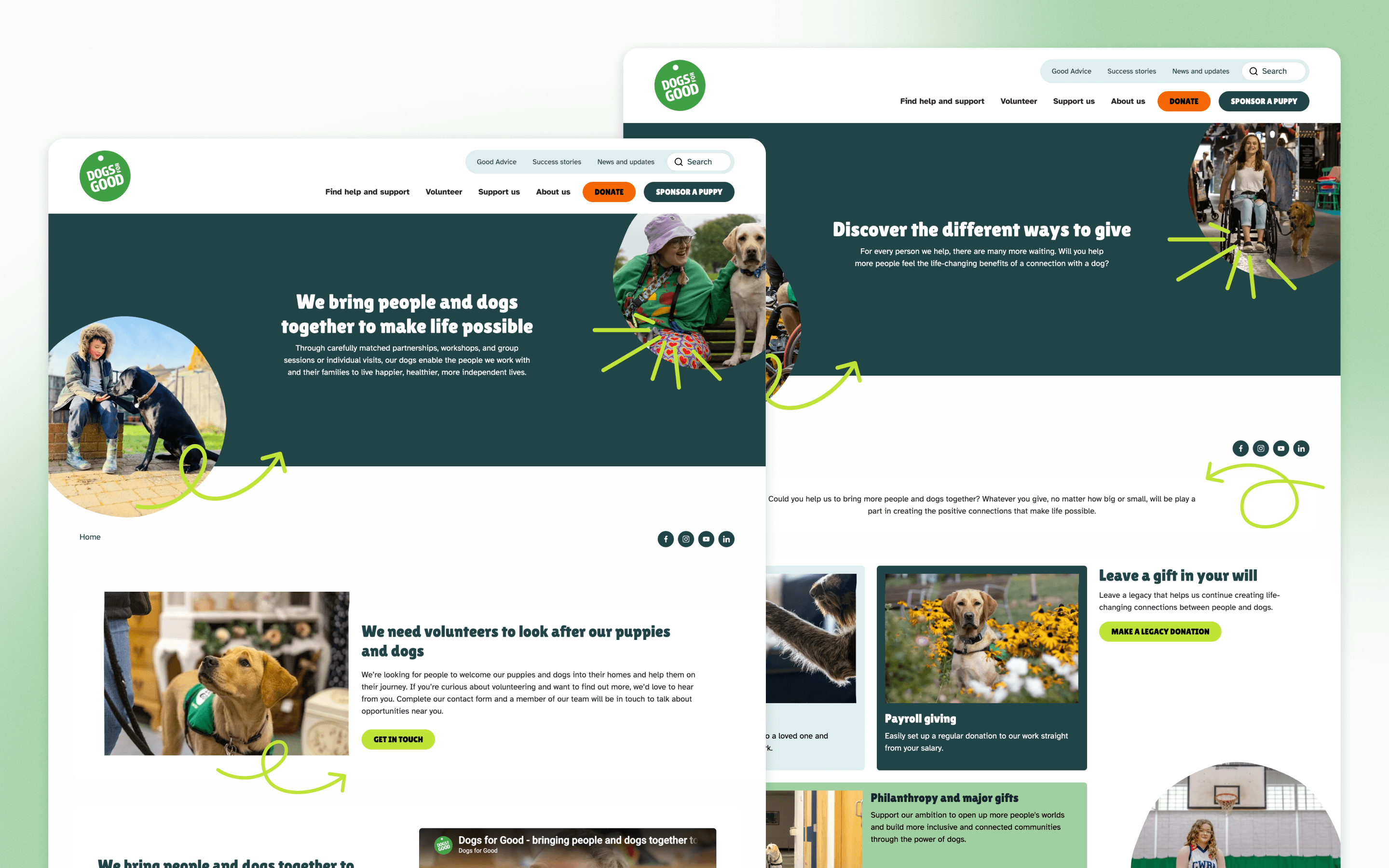 Dogs for Good Nonprofit Website Design by Fat Beehive