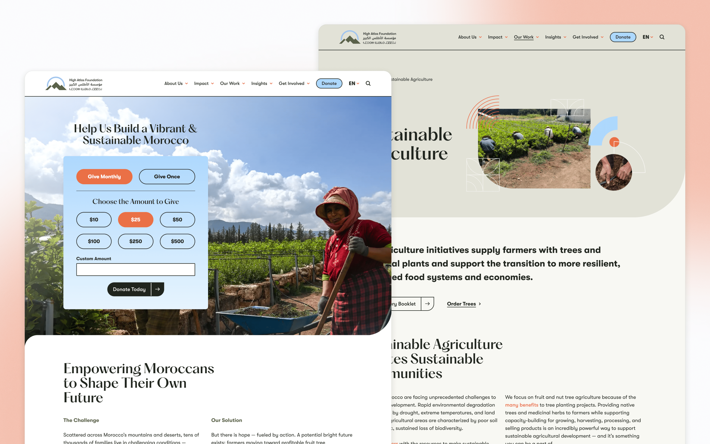 High Atlas Foundation Nonprofit Website Design by Cosmic