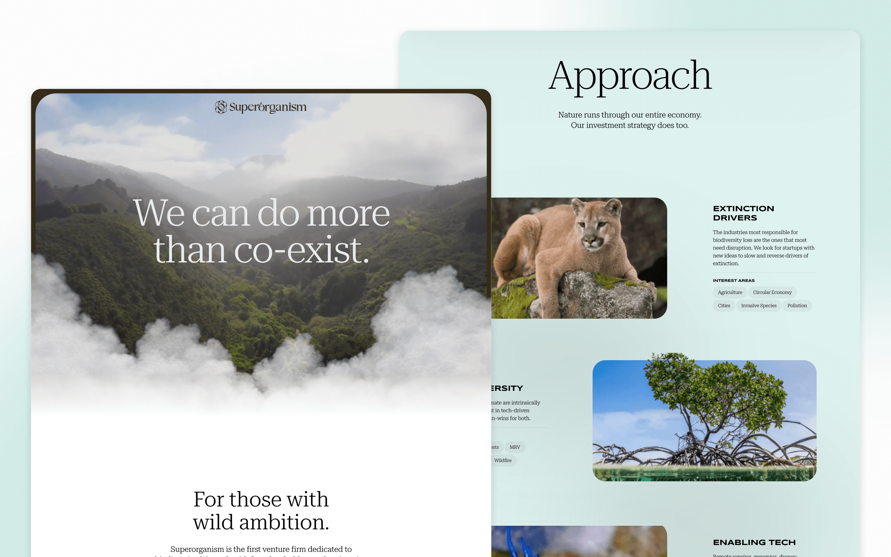 Superorganism Venture Capital Website Development by Windmark