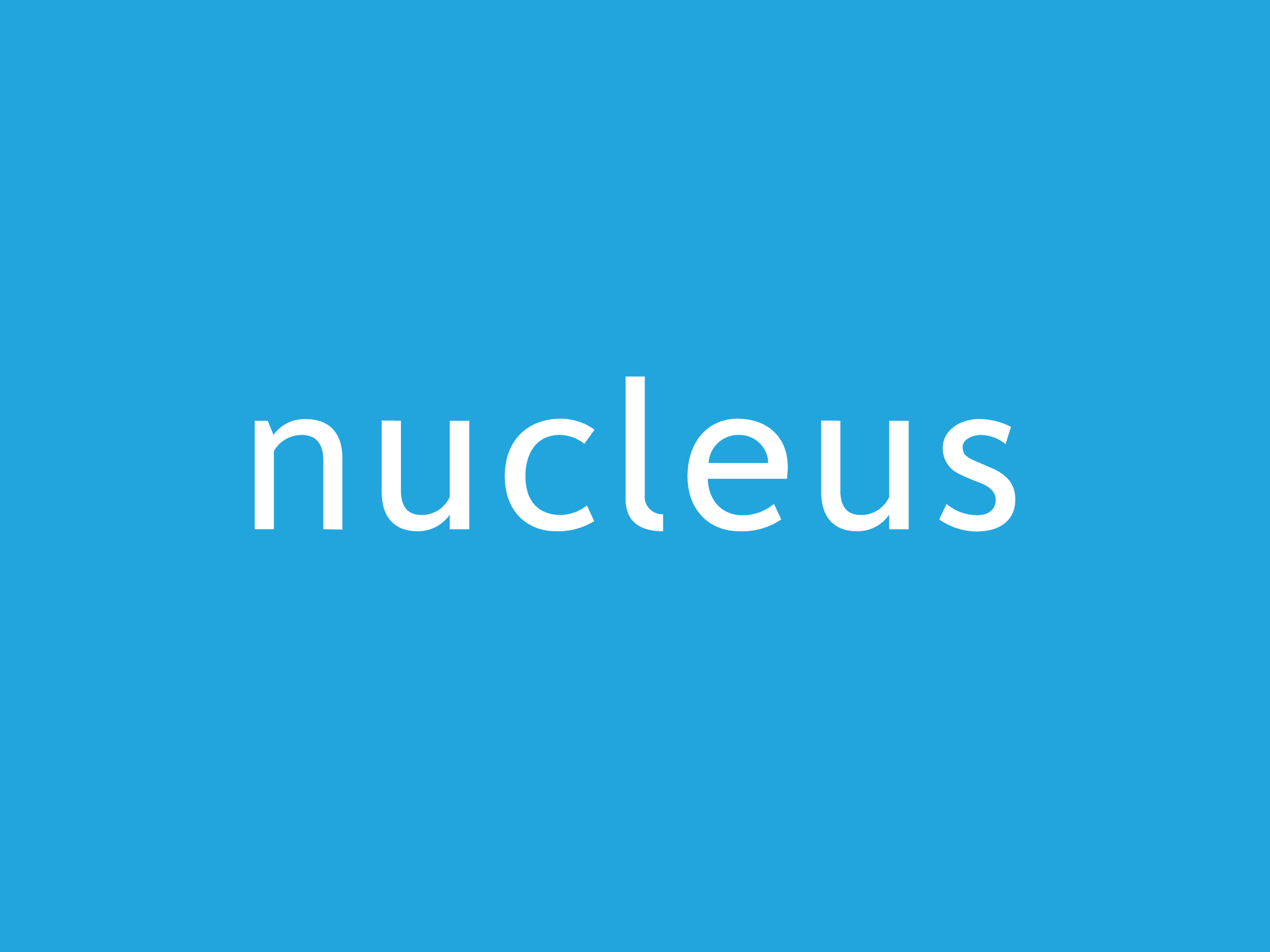 Nucleus Fine Dining Restaurant Website Design Agency Logo