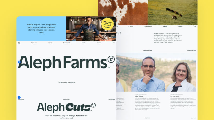 Aleph Top AI Agricultural Web Design