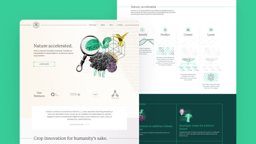 Avalo Top AI Agricultural Web Design