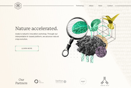 Nature Top AI Web Design