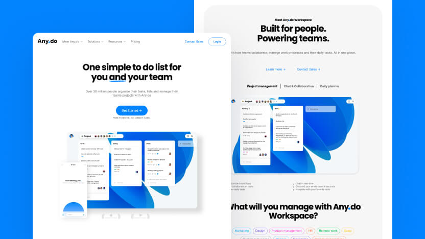 Any Top SaaS Productivity  Web Design